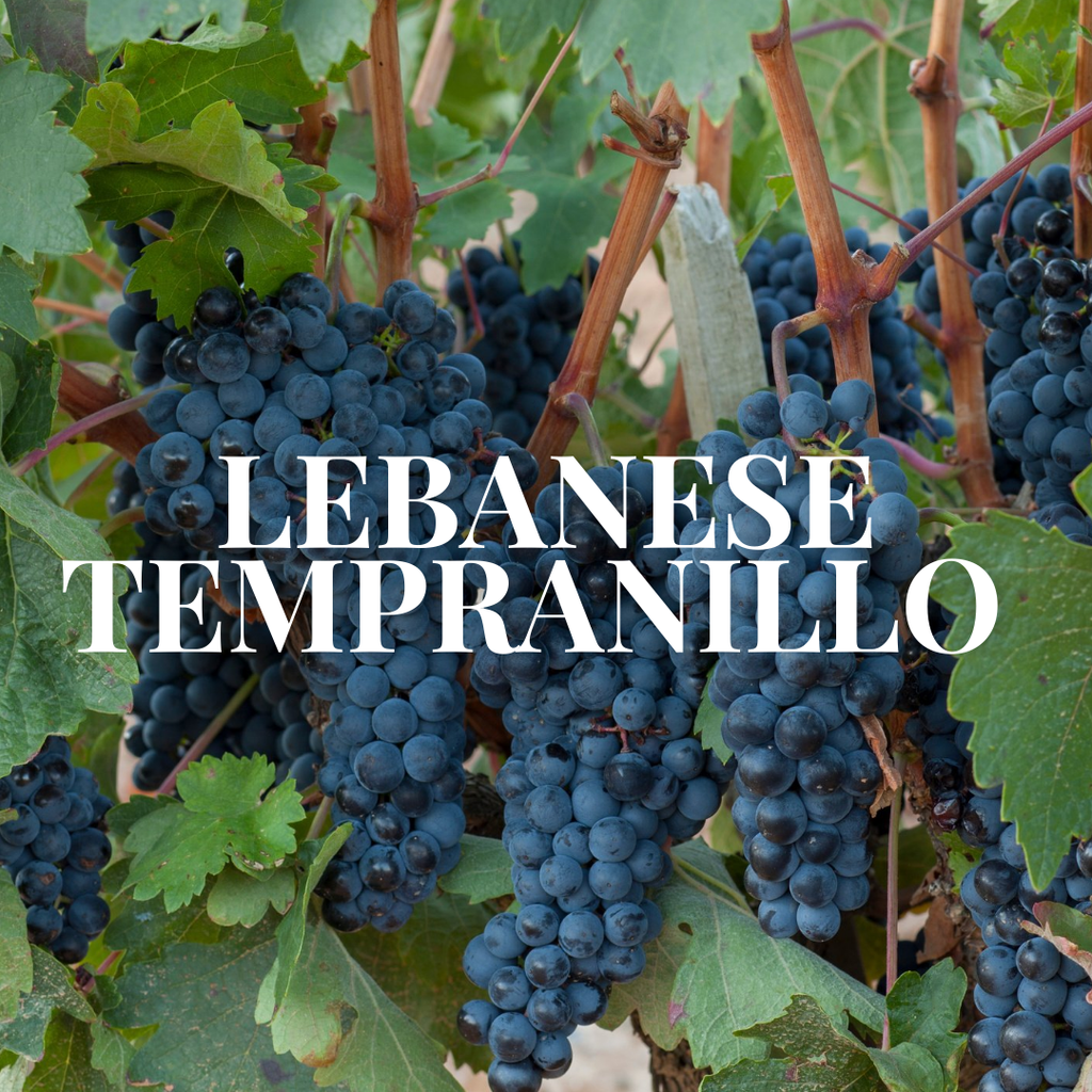 LEBANESE TEMPRANILLO